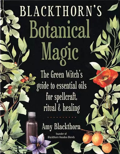 Book cover of Blackthorn&