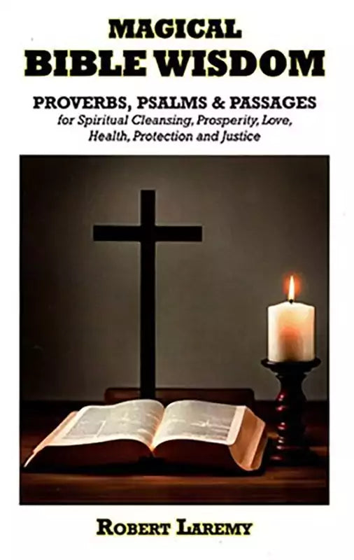 Magical Bible Wisdom book cover by Robert Laremy — black background with gold text for this hoodoo psalm magic and biblical spellwork guide.