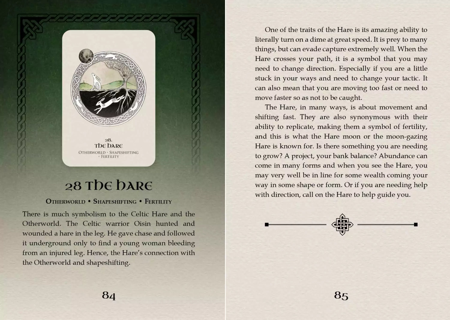 Celtic Spirit Oracle card titled The Dark featuring an atmospheric illustration of shadowed forest and nocturnal sky
