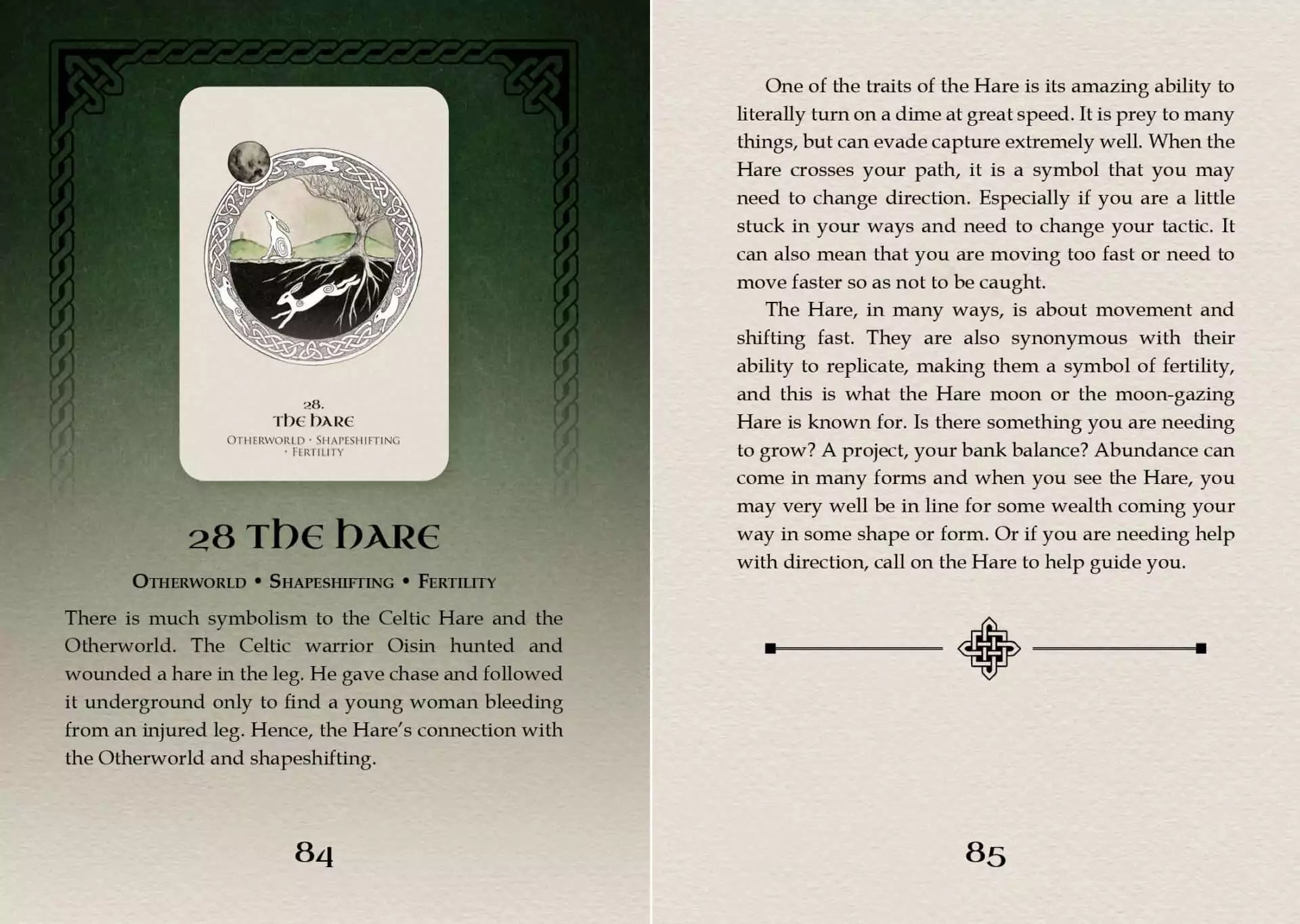 Celtic Spirit Oracle card titled The Dark featuring an atmospheric illustration of shadowed forest and nocturnal sky