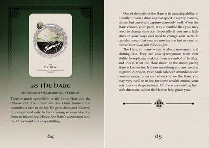 Celtic Spirit Oracle card titled The Dark featuring an atmospheric illustration of shadowed forest and nocturnal sky
