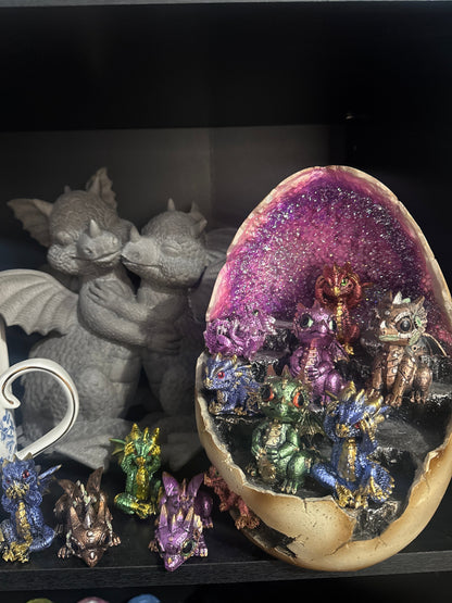 Dragon Adoption