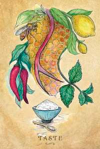 Anatomy of a Witch Oracle by Laura Tempest Zakroff: Cards for Embodied Magic &amp;amp; Healing