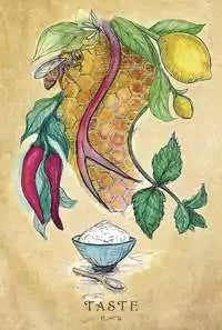 Sample card from Anatomy of a Witch Oracle showing Laura Tempest Zakroff&