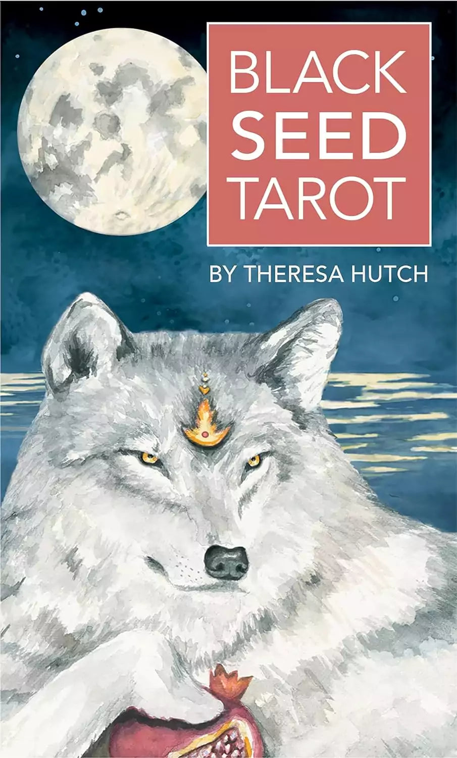 Black Seed Tarot deck box by Theresa Hutch with dark, botanical seed-themed cover art for shadow work and depth-oriented tarot reading.