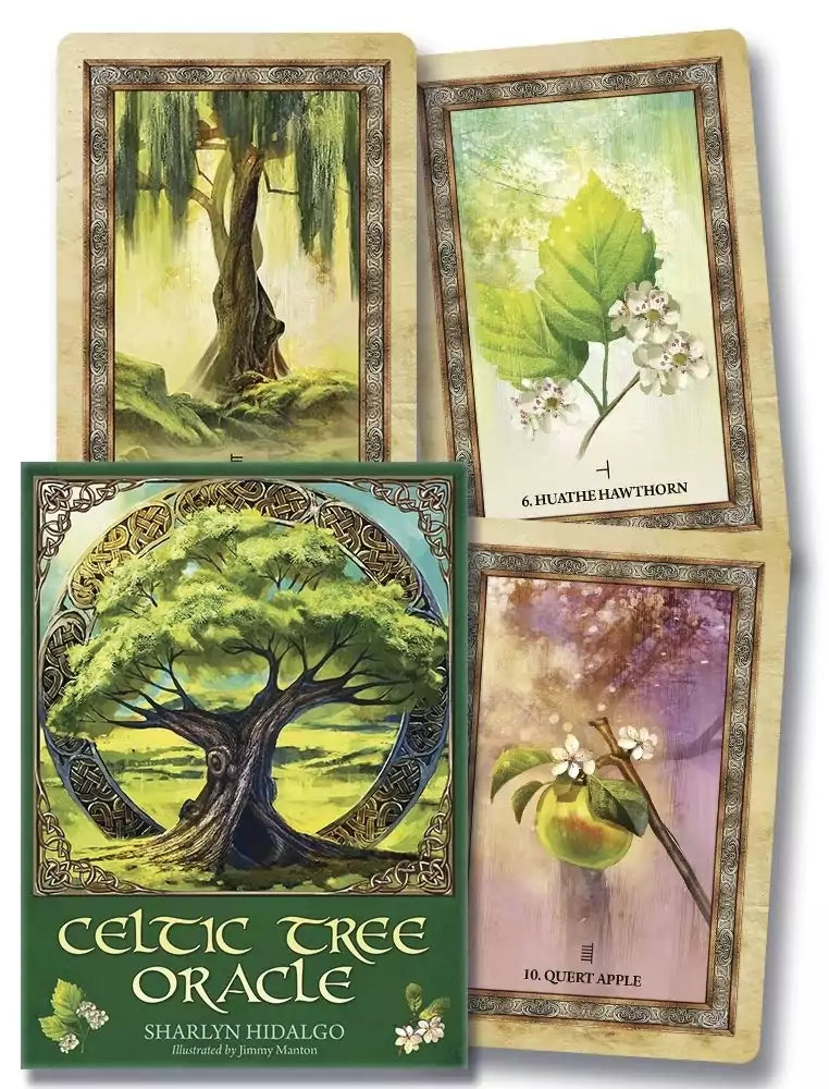 Three Celtic Tree Oracle cards by Sharlyn Hidalgo featuring illustrated sacred trees — Ogham divination cards with botanical art for Celtic spiritual practice.