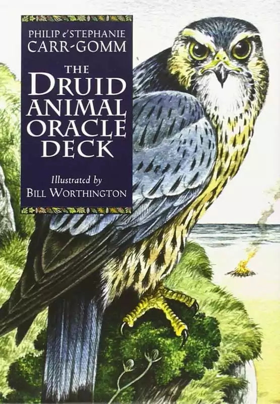 Druid Animal Oracle Deck cover featuring a detailed illustration of a falcon perched on a branch — vibrant Celtic animal divination oracle artwork.