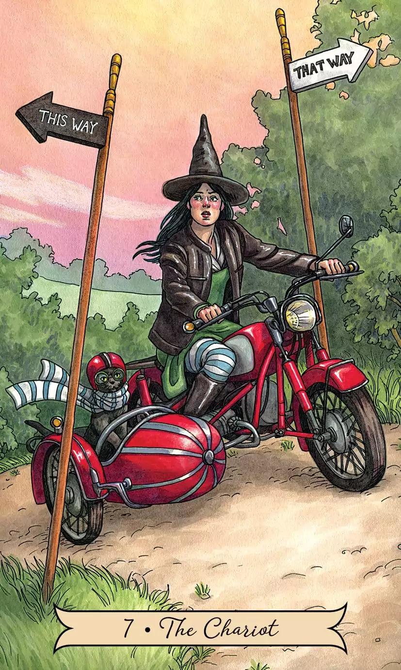 Woman in a witch&