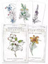 Hedgewitch Botanical Oracle deck cards with illustrated flowers and plants by Siolo Thompson, displayed with the companion guidebook — plant spirit divination oracle.