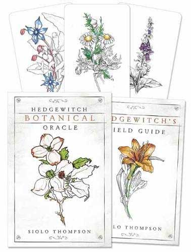 Hedgewitch Botanical Oracle deck cards with illustrated flowers and plants by Siolo Thompson, displayed with the companion guidebook — plant spirit divination oracle.