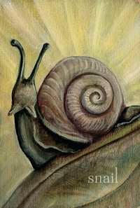 Liminal Spirits Oracle: Witch’s Spirit Cards by Laura Tempest Zakroff