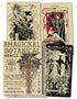 Magickal Botanical Oracle deck by Miller and Penczak showing botanical plant art on box — plant magic divination cards for witches and herbalists.