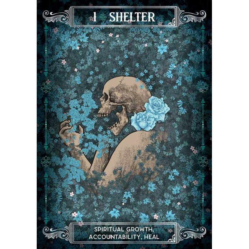 Earth &amp; Bone Oracle Deck by Sirian Shadow – A Tool for Spiritual Growth &amp; Transformation