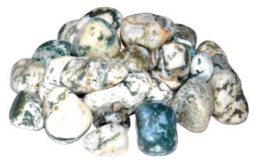 One pound of polished tree agate tumbled stones showing white base with green dendritic inclusions, arranged in a pile on a neutral surface
