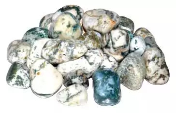 One pound of polished tree agate tumbled stones showing white base with green dendritic inclusions, arranged in a pile on a neutral surface