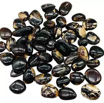 A collection of zebra amber tumbled stones showing distinctive banded striping in warm golden and brown fossilized resin, sold in 1 lb bulk for collectors and ritual work.