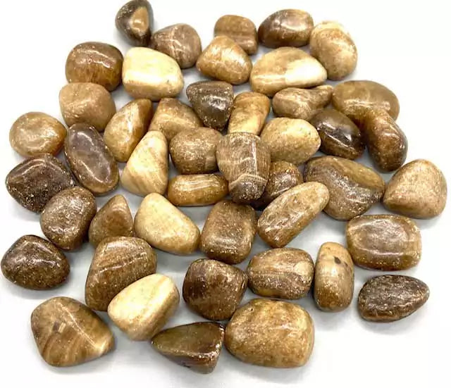 One-pound collection of smooth warm-toned aragonite tumbled calcium carbonate stones for deep grounding earth healing patience and stress relief crystal work