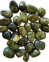 One-pound collection of smooth light green asterite serpentine tumbled stones for chakra alignment grounding psychic development and transformation crystal work