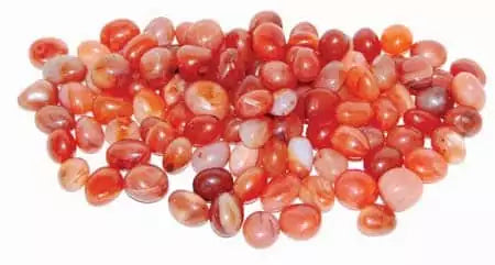 One-pound collection of smooth vivid orange carnelian tumbled chalcedony stones for sacral chakra creativity courage motivation and empowerment rituals