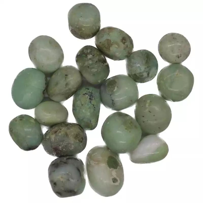 One pound bulk lot of polished chrysoprase tumbled stones in vivid apple-green — heart chakra and abundance crystal collection.
