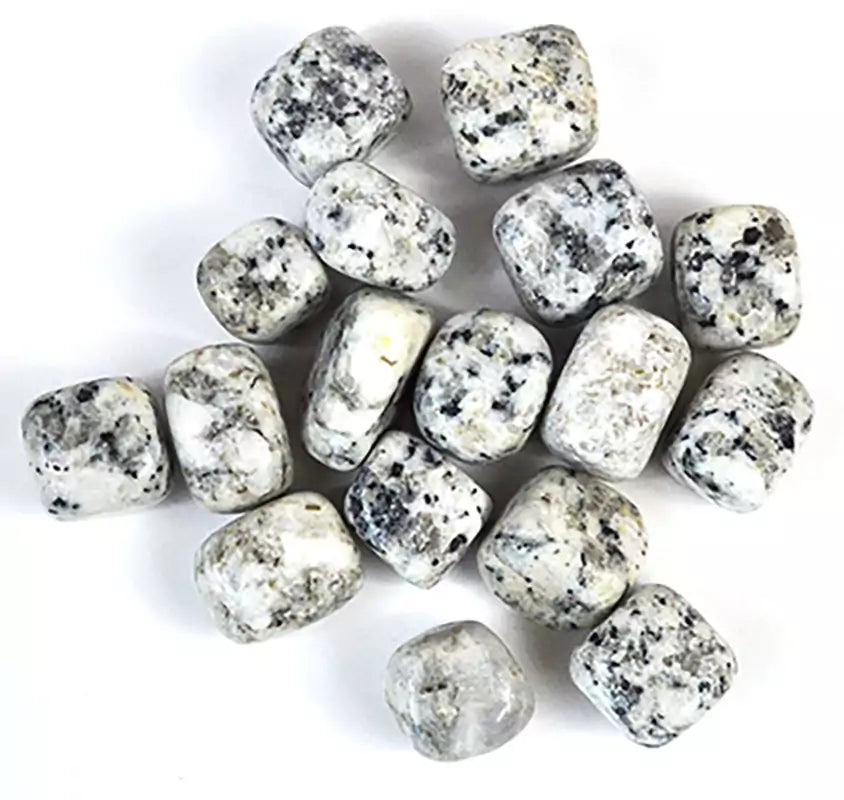 Dalmatian Jasper tumbled stones 1 lb bulk showing pile of spotted cream and black jasper polished stones for crystal grid and altar work
