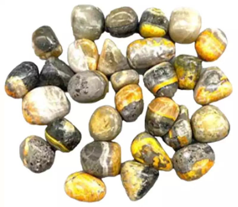 Bumble bee jasper tumbled stones with vivid yellow, orange, and black banding pattern, one pound bulk lot on white surface