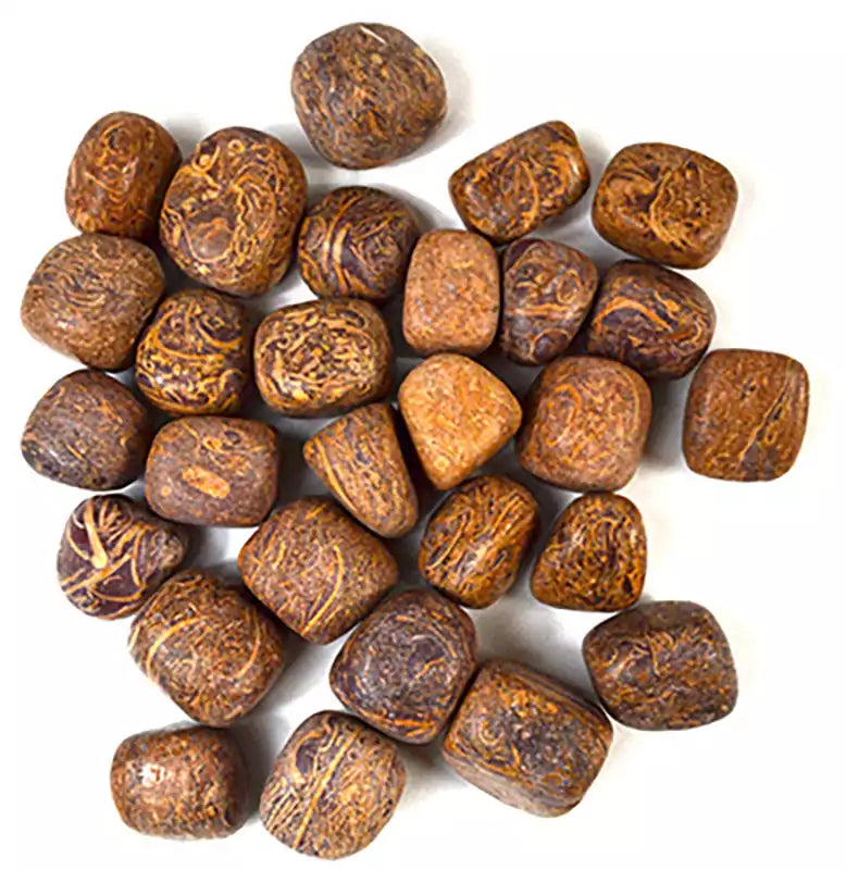 One pound of tumbled calligraphy jasper stones showing natural Arabic script-like markings in cream and brown tones — bulk lot of ancient pattern fossil jasper for crystal grids.