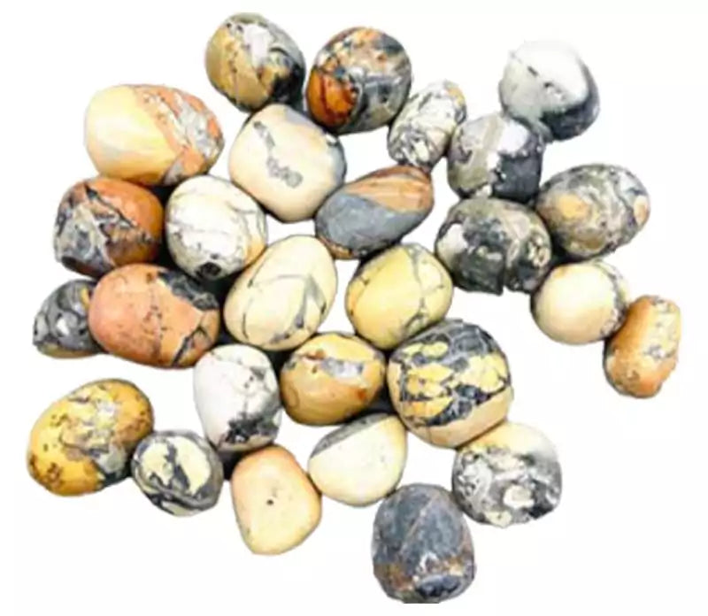 A collection of maligano jasper tumbled stones showing vivid abstract patterns in cream, brown, and rust-red, the rare Indonesian jasper variety in a 1 lb bulk lot.