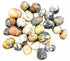 A collection of maligano jasper tumbled stones showing vivid abstract patterns in cream, brown, and rust-red, the rare Indonesian jasper variety in a 1 lb bulk lot.