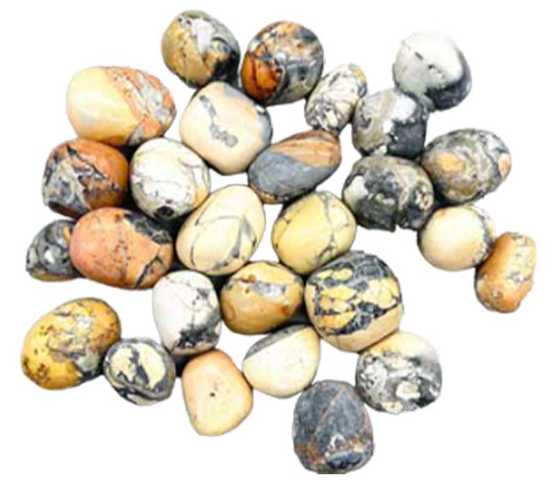 A collection of maligano jasper tumbled stones showing vivid abstract patterns in cream, brown, and rust-red, the rare Indonesian jasper variety in a 1 lb bulk lot.