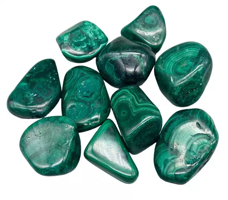 One pound bulk lot of tumbled malachite pebbles in deep green with swirling banded patterns — heart chakra crystal collection.