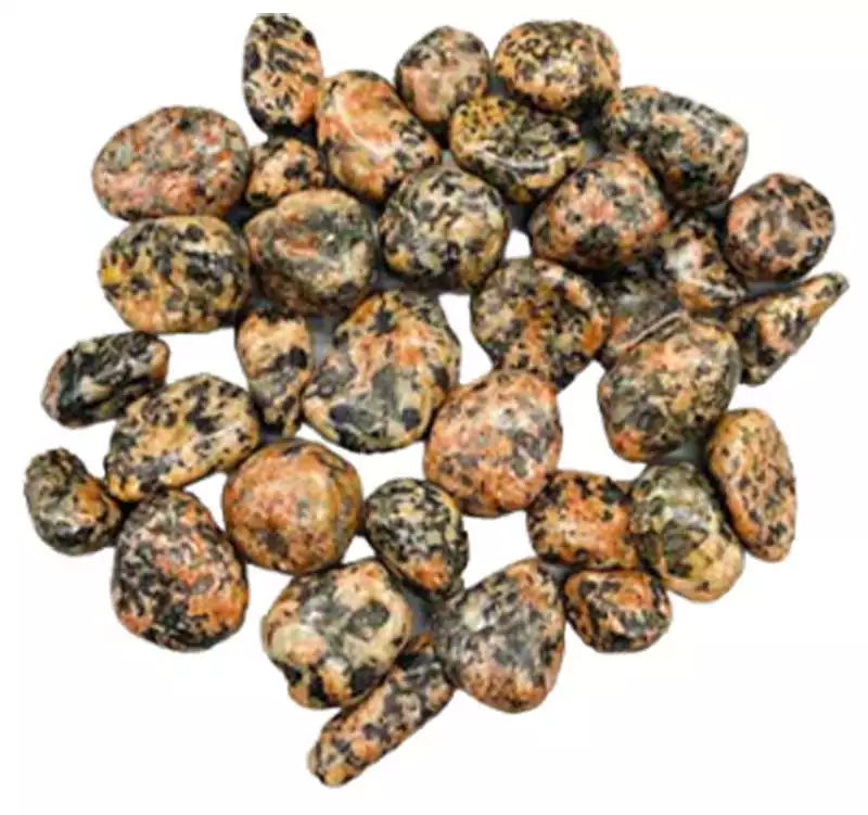 A collection of creamy orthoclase opal tumbled stones with soft iridescent sheen, sold in 1 lb bulk for intuition and emotional balance crystal work.