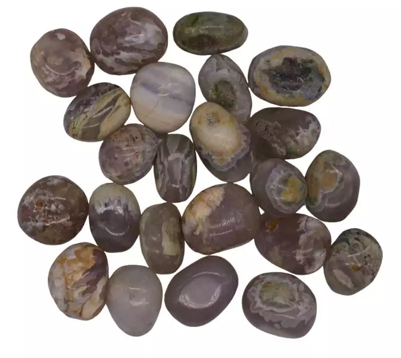 1 lb opalized petrified wood tumbled stones showing varied brown grey and opal-tinged surface in smooth polished tumbled form.