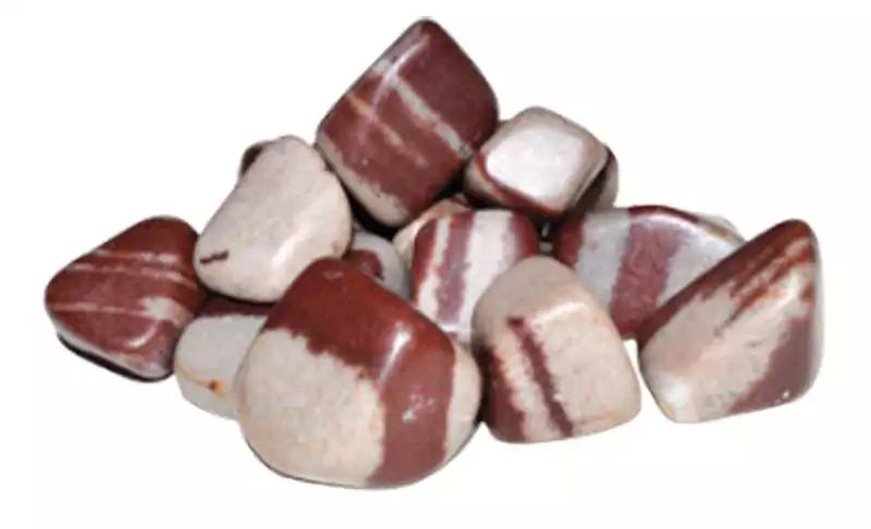 A group of shiva lingam tumbled stones showing their characteristic oval shape with brown and tan markings, sold in 1 lb bulk from the sacred Narmada River.