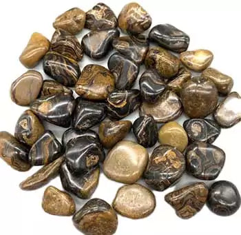 One-pound collection of smooth stromatolite tumbled fossil stones in tan and brown for grounding past-life work and deep earth energy rituals