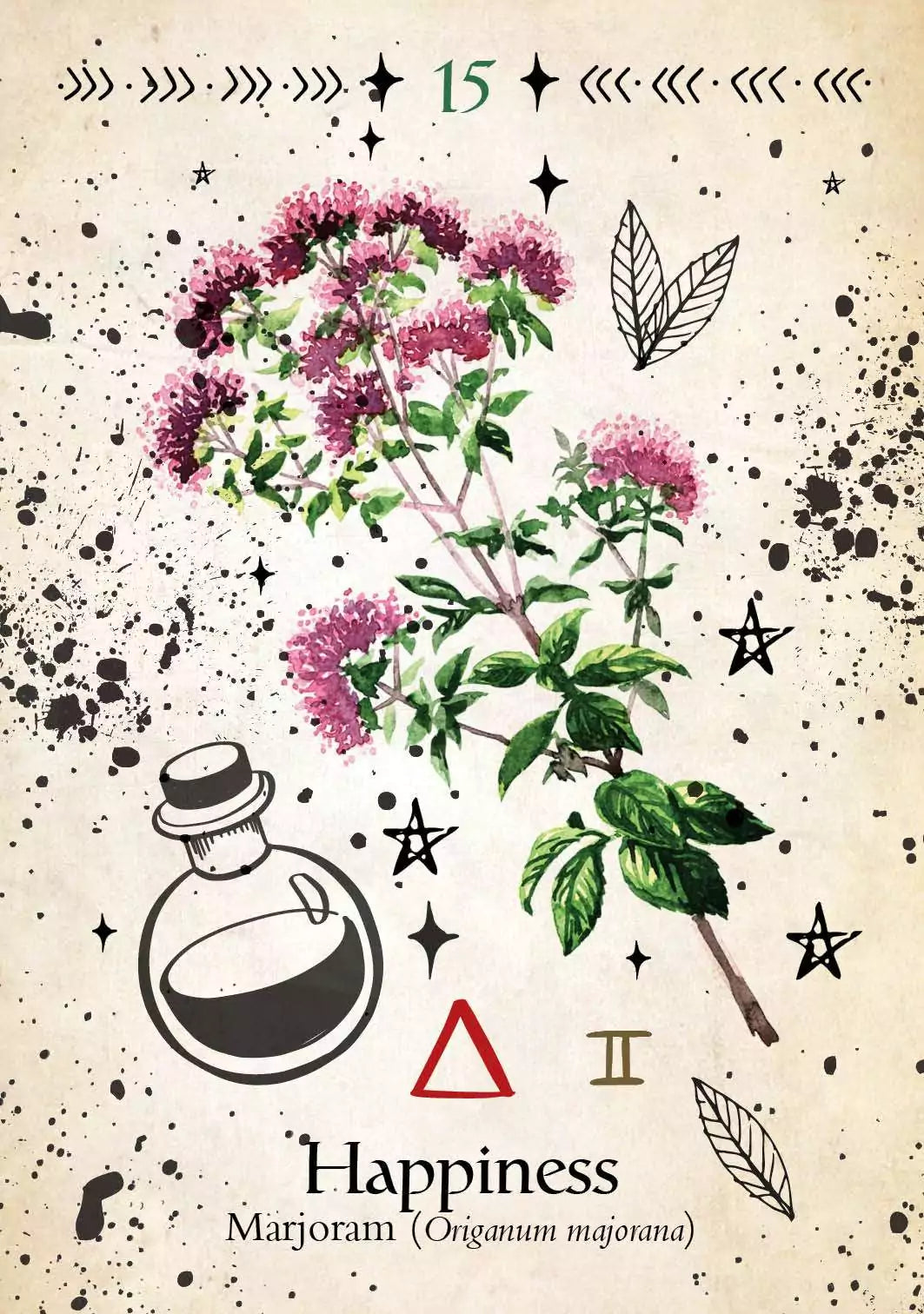 Green Witch Oracle card depicting a botanical marjoram (Origanum majorana) illustration with small oval leaves and delicate flower clusters.