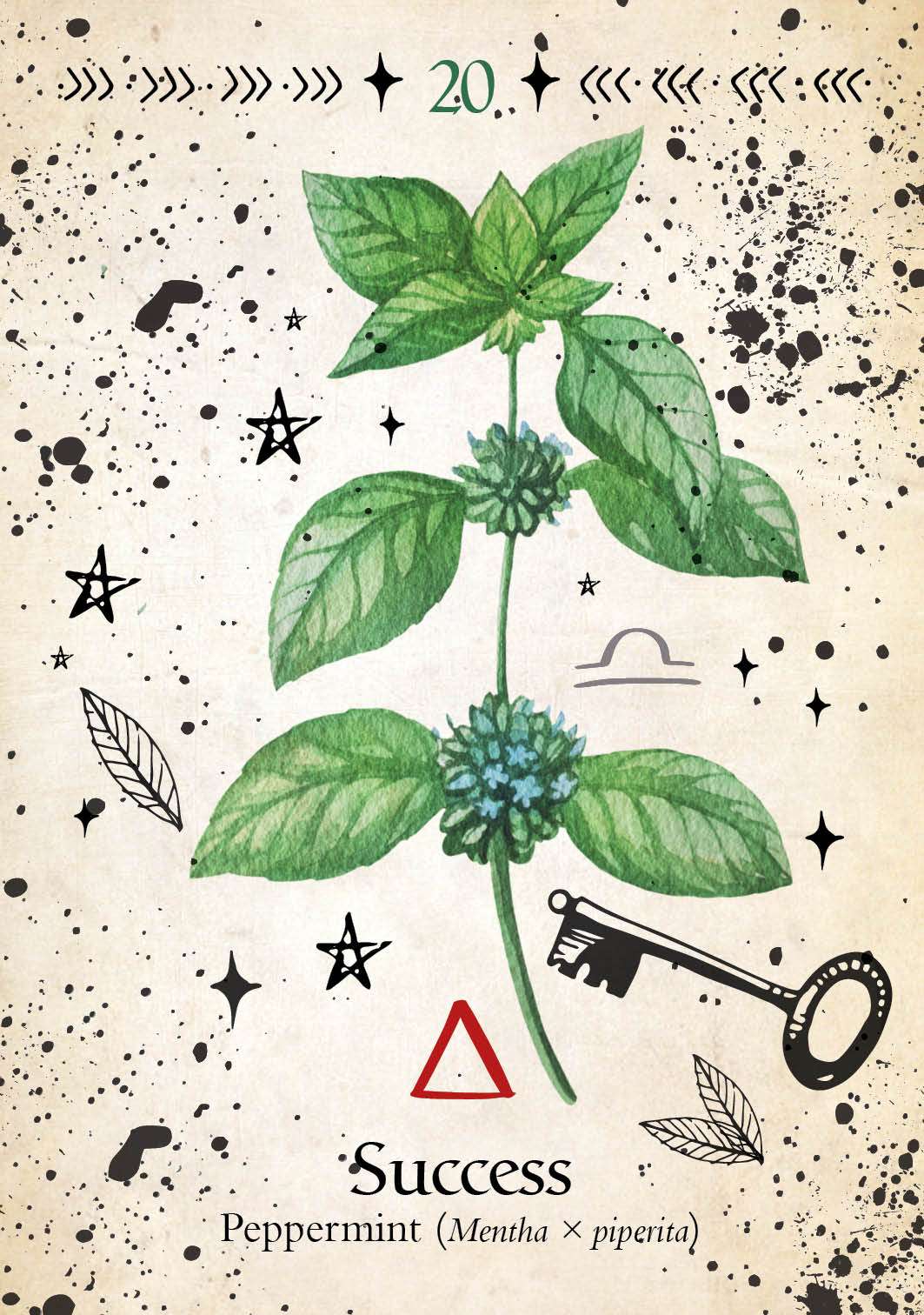 Green Witch Oracle by Cheralyn Darcey