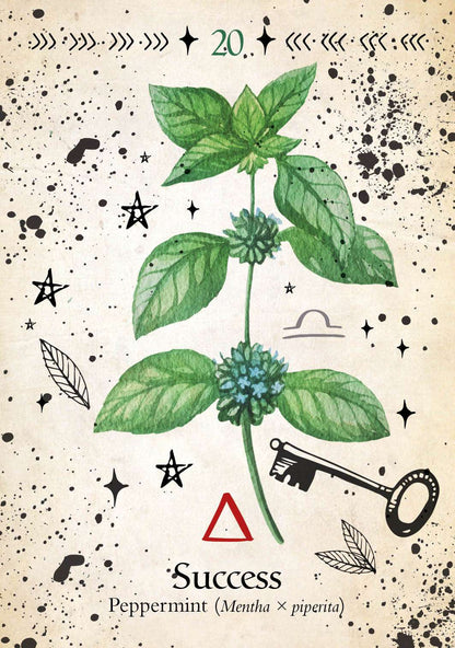 Green Witch Oracle by Cheralyn Darcey