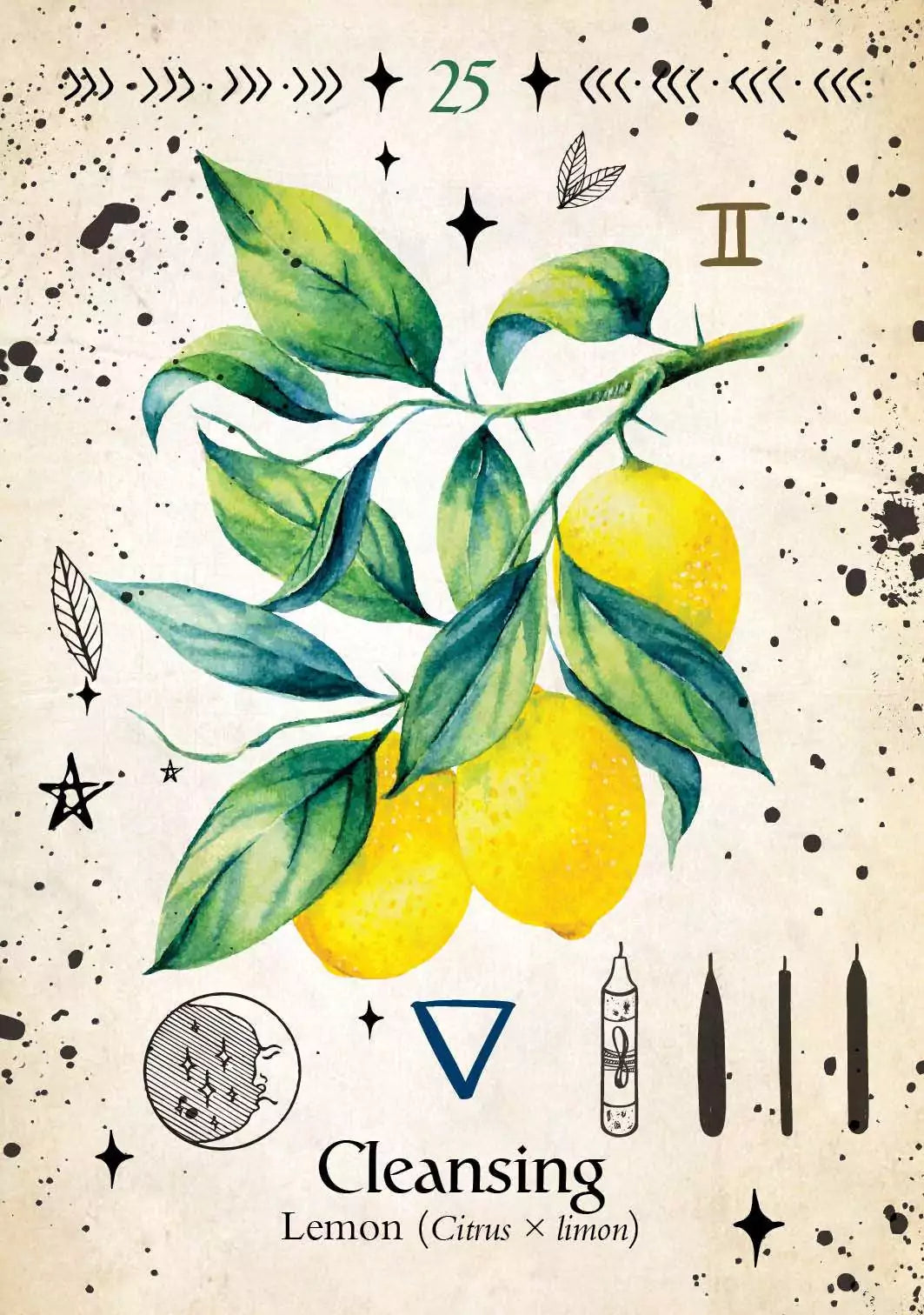 Green Witch Oracle card showing a watercolor lemon branch with ripe lemons and dark green leaves on a clean white card background.