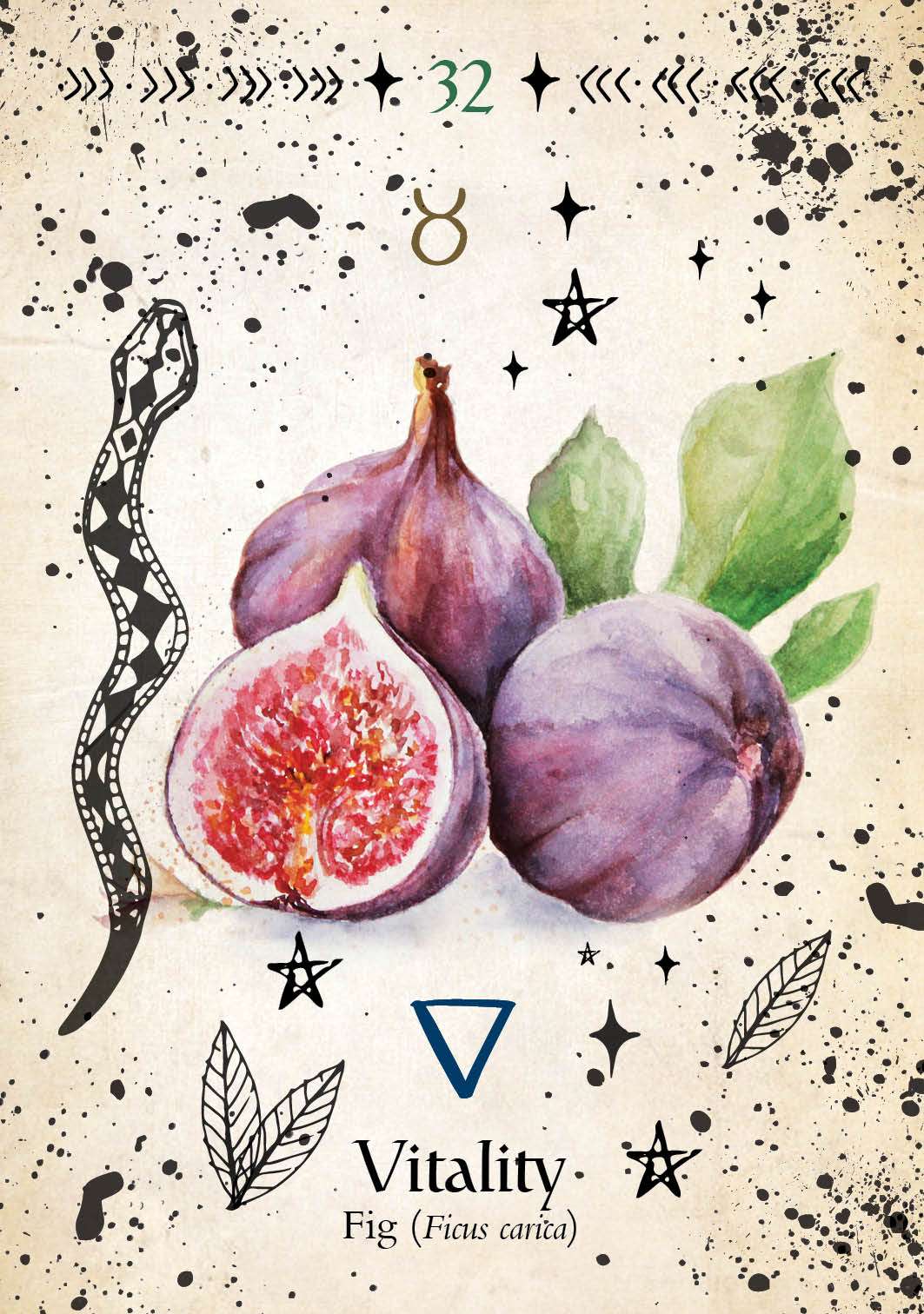 Green Witch Oracle by Cheralyn Darcey