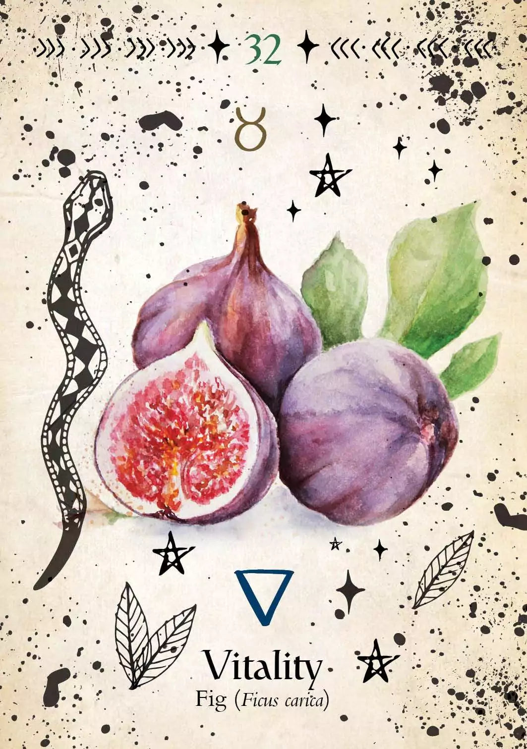 Green Witch Oracle card showing a watercolor illustration of ripe figs, one sliced open to reveal the pink interior, with leaves.