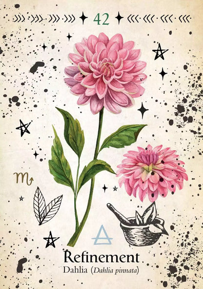 Green Witch Oracle card featuring a detailed pink dahlia flower with layered petals and green foliage on a white oracle card background.
