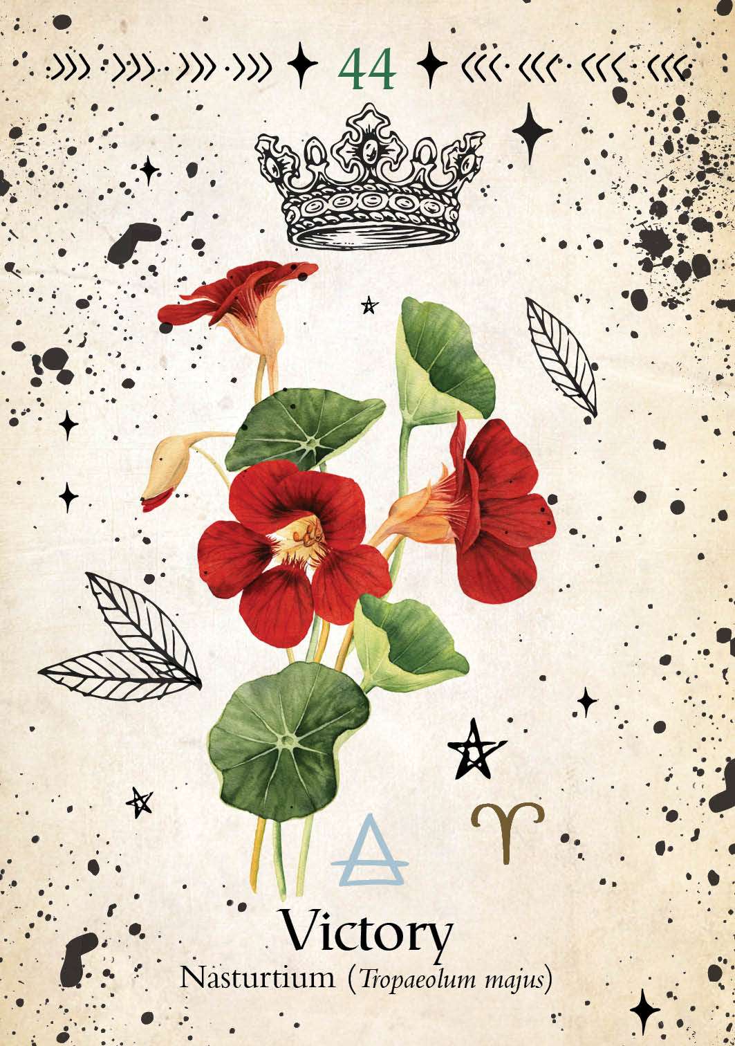 Green Witch Oracle by Cheralyn Darcey