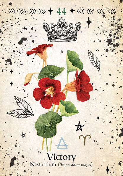 Green Witch Oracle by Cheralyn Darcey