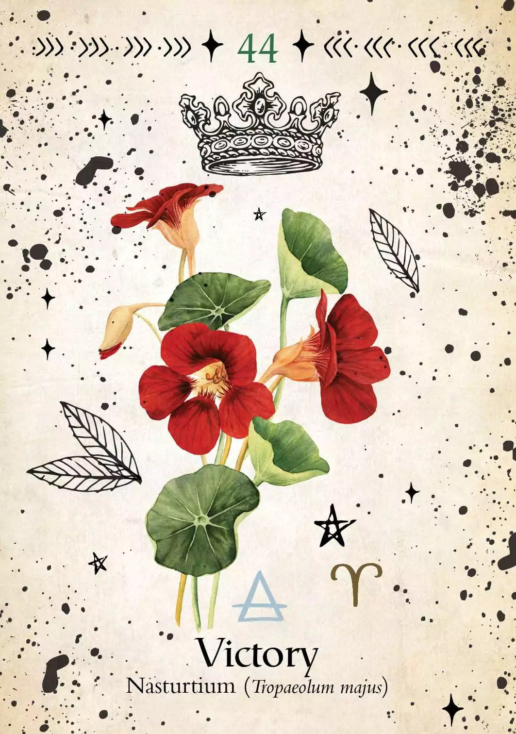 Green Witch Oracle card featuring vibrant watercolor illustration of red nasturtium flowers with green rounded leaves on a white background.