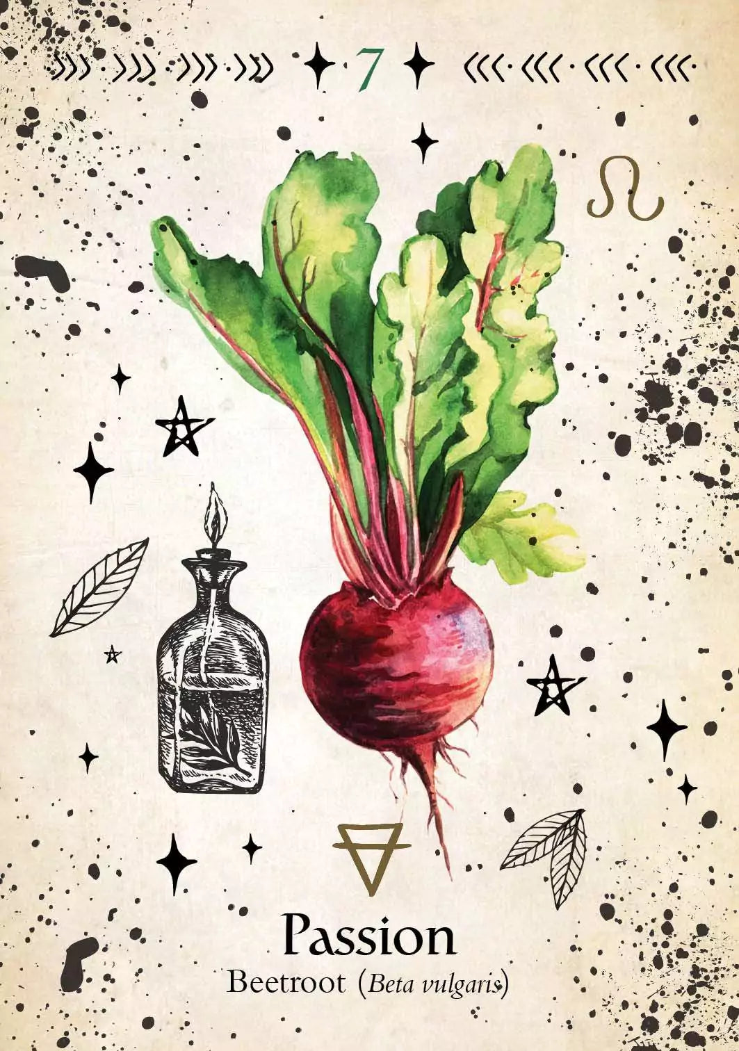 Green Witch Oracle card depicting a vibrant watercolor beetroot with bulbous purple-red root and bright green leafy top, botanical illustration.
