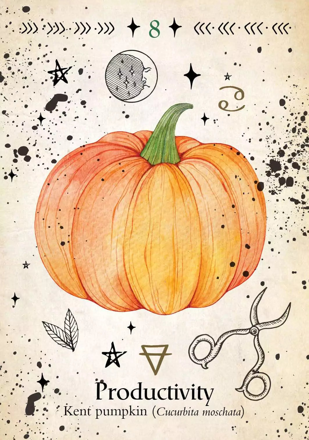 Green Witch Oracle card showing an illustrated Kent pumpkin with a soft orange hue and characteristic ribbed surface, botanical oracle artwork.