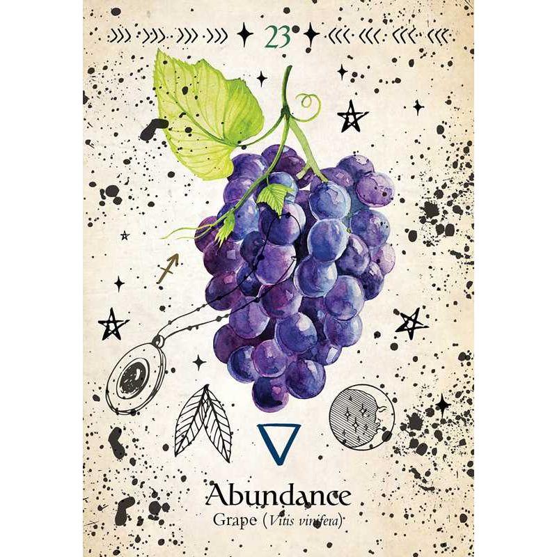 Green Witch Oracle Deck – 44 Cards &amp; Guidebook | Garden Magick, Herbal Wisdom, Divination