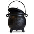Tree of Life cast iron cauldron with lid — 6-inch black iron cauldron with embossed tree design, fitted lid, and bail handle.