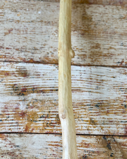 Unbroken Form Besom